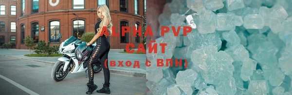 индика Горно-Алтайск