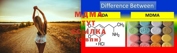 индика Горно-Алтайск