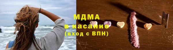 индика Горно-Алтайск