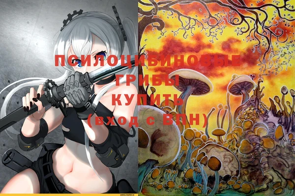 первитин Горняк