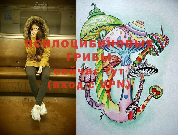 первитин Горняк