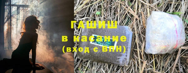 индика Горно-Алтайск