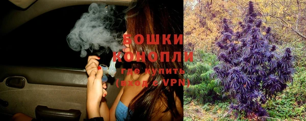 a pvp Горнозаводск
