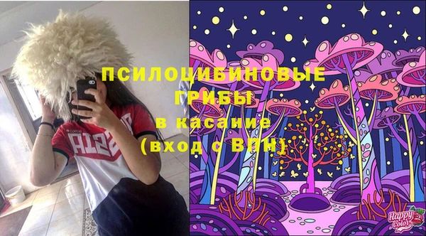 a pvp Горнозаводск