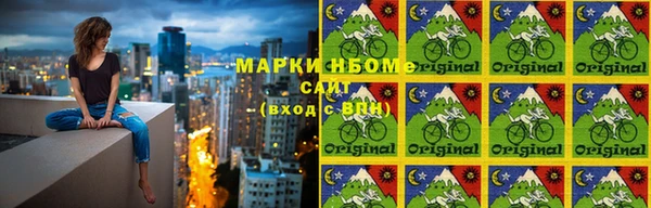 индика Горно-Алтайск