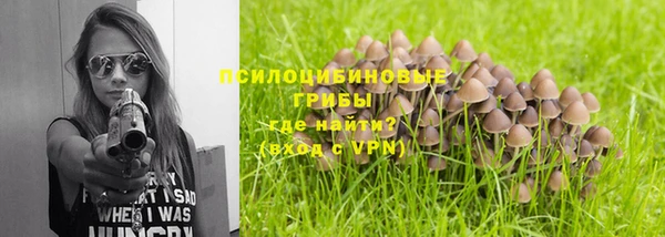 индика Горно-Алтайск