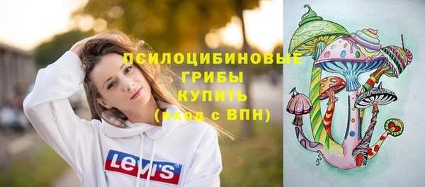 a pvp Горнозаводск