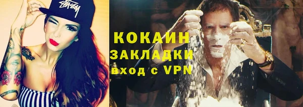 индика Горно-Алтайск