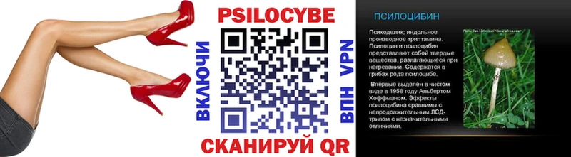 Купить закладки Россошь Псилоцибиновые грибы Cubensis
